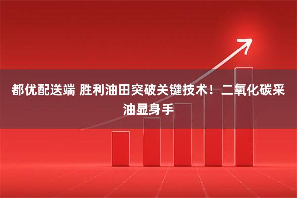 都优配送端 胜利油田突破关键技术！二氧化碳采油显身手