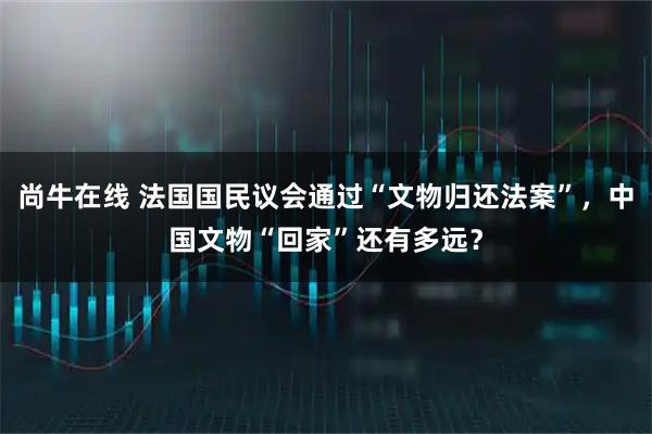尚牛在线 法国国民议会通过“文物归还法案”，中国文物“回家”还有多远？